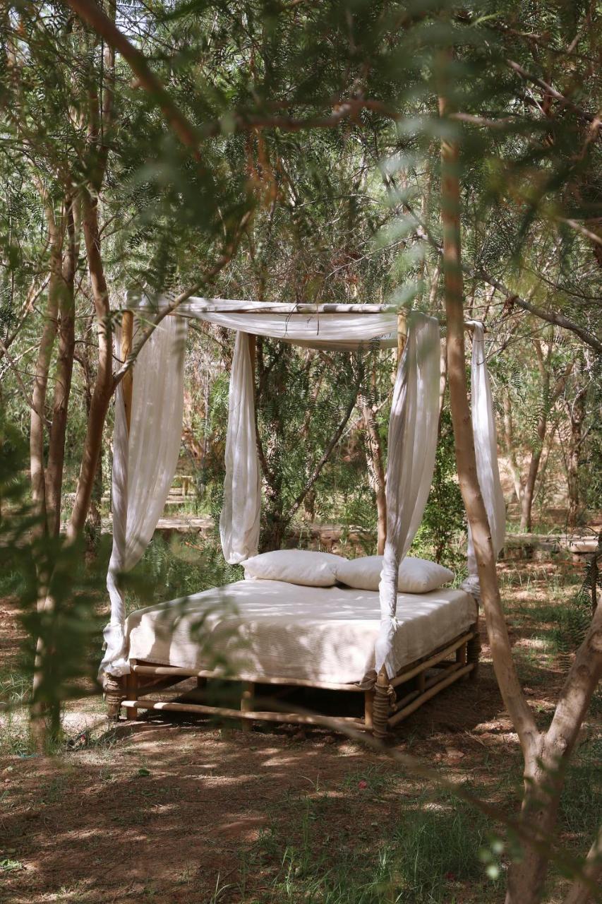 Azalai Desert Lodge Загора Экстерьер фото